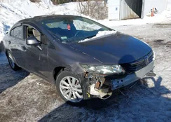 19XFB2F80CE383706: 44254491