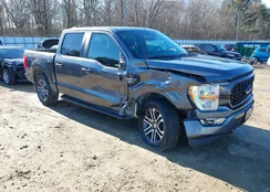 1FTEW1EP4NFB58250: 44254599