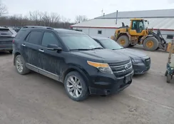 1FM5K8F88DGC44256: 44254617