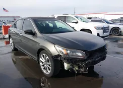 1HGCR2F55DA095397: 44255345