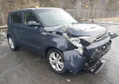 KNDJP3A55F7213473: 44255350