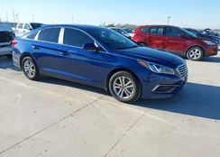 5NPE24AF9HH523459: 44255351