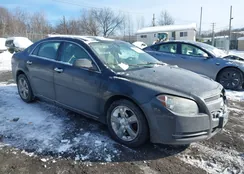 1G1ZD5E01CF186661: 44255665