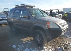 SHSRD78864U205840: 44255749