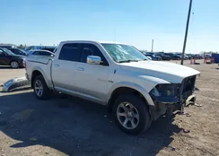 1D3HV13T69J521724: 44255192