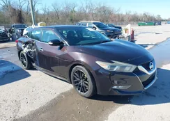 1N4AA6AP7GC384986: 44256327