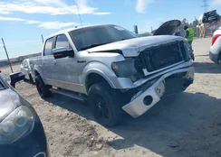 1FTFW1ET1EFA05729: 44256505