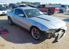 1ZVBP8AM7B5146676: 44256655