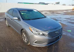 5NPE24AF0GH400874: 44256661