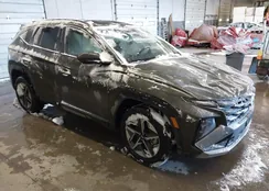 5NMJBCDE3SH445518: 44256690