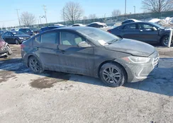 5NPD84LF5JH245527: 44255852