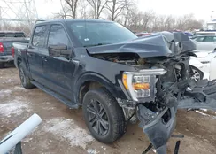 1FTFW1E56MFA07976: 44257256