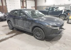 3MVDMBAM6PM525010: 44257262