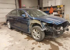 5NPE24AF0KH766567: 44257541