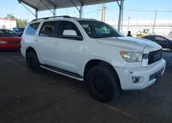 5TDJY5G14DS087848: 44257595