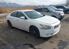 1N4AA5AP4AC817178: 44257760