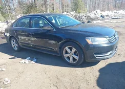 1VWBS7A39FC007067: 44256859