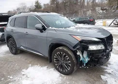 JN8BT3DD2SW302974: 44258252