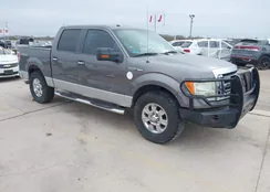 1FTPW14V89FB48741: 44258698