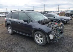 JF2SJARC9FH827385: 44259468