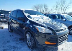 1FMCU0F76EUE24798: 44260426