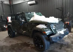 1C4JJXP66MW705215: 44261231