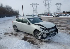 JN1CV6AR2DM756462: 44261592