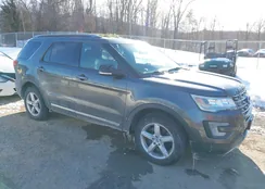 1FM5K8DH2HGD33362: 44261631