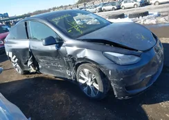 7SAYGDEEXRA231352: 44260767