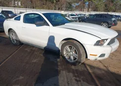 1ZVBP8AM9B5103876: 44260839