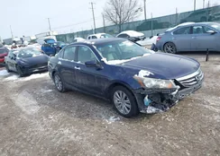 1HGCP3F8XBA000576: 44262286