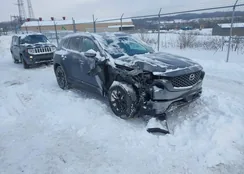 7MMVABDM6RN191225: 44262320