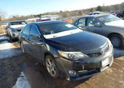 4T1BK1FK0EU541269: 44262418