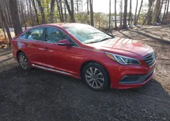 5NPE34AF4HH511541: 44261874