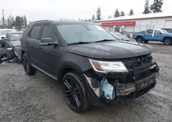 1FM5K8D84KGA52719: 44263629