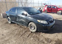 2T1BU4EE5AC290350: 44262749