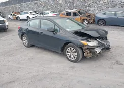 19XFB2F55CE369838: 44264143