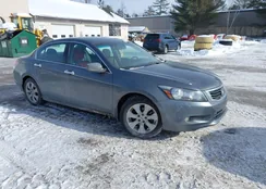 1HGCP36888A074944: 44264420