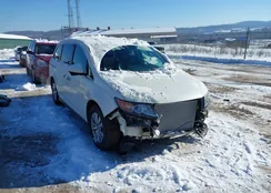 5FNRL5H62EB003186: 44264709