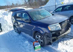 5FNYF4H2XEB038455: 44263733