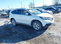 5J6RM4H72EL031884: 44263743