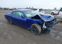 2C3CDZBTXMH531094: 44264804