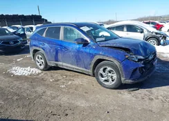 5NMJB3AE9PH202940: 44264994