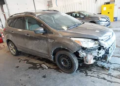 1FMCU9GX4EUB75470: 44266434