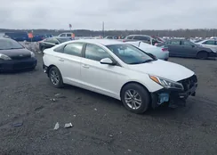 5NPE24AF4GH394464: 44266455