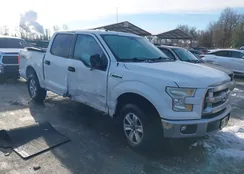 1FTEW1EP9FFC27631: 44265866