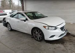 JM1GJ1V55F1198924: 44267190