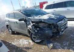 1FMCU0G98FUB32409: 44267530