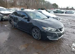 1N4AA6AP1GC430344: 44268370