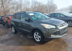 1FMCU0G96GUC11031: 44268440